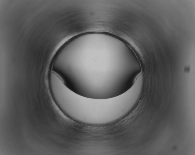 X0000102041468200808081824