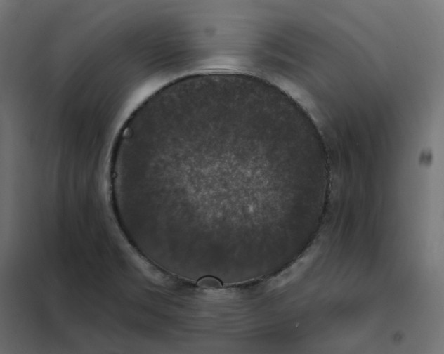 X0000102041469200808081824