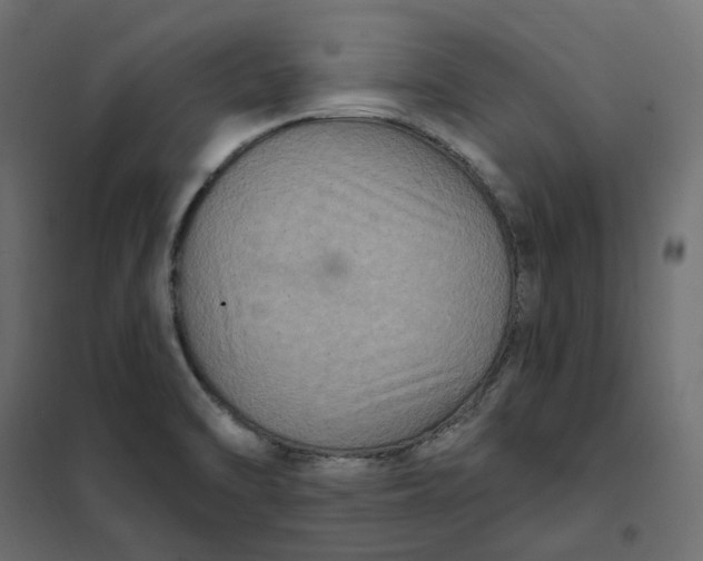 X0000102041470200808081824