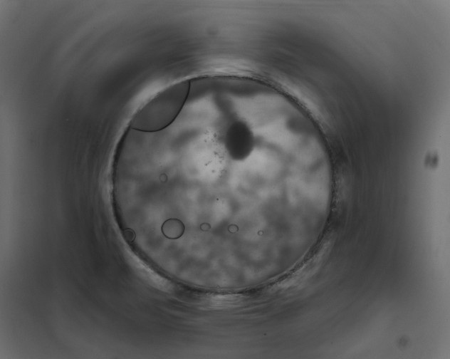 X0000102041471200808081824