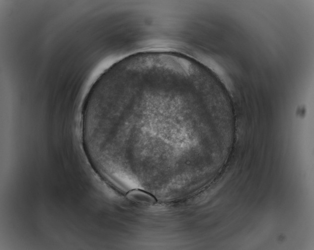 X0000102041472200808081824