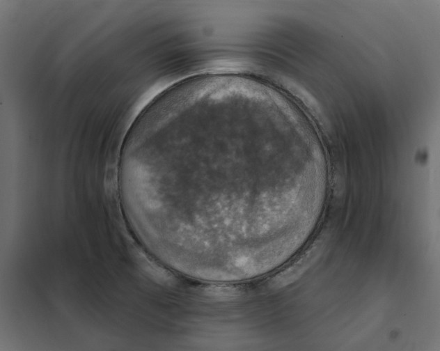 X0000102041473200808081824