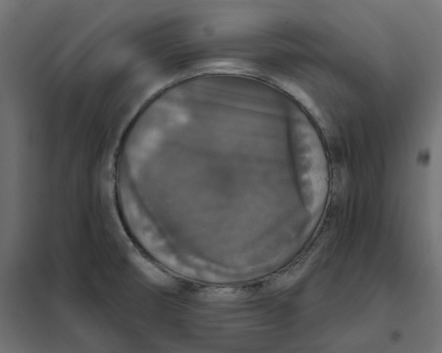 X0000102041474200808081824