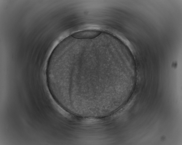 X0000102041475200808081824