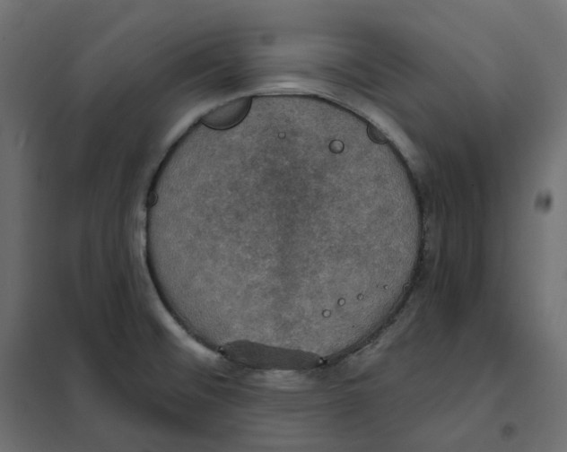 X0000102041476200808081823