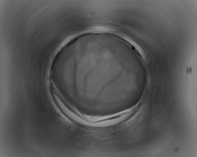 X0000102041477200808081823