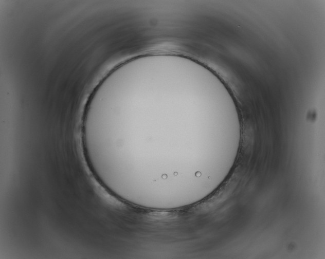 X0000102041478200808081823