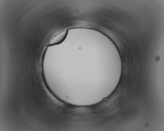 X0000102041479200808081823