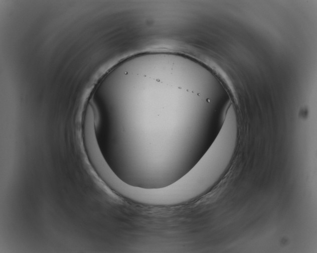 X0000102041480200808081823