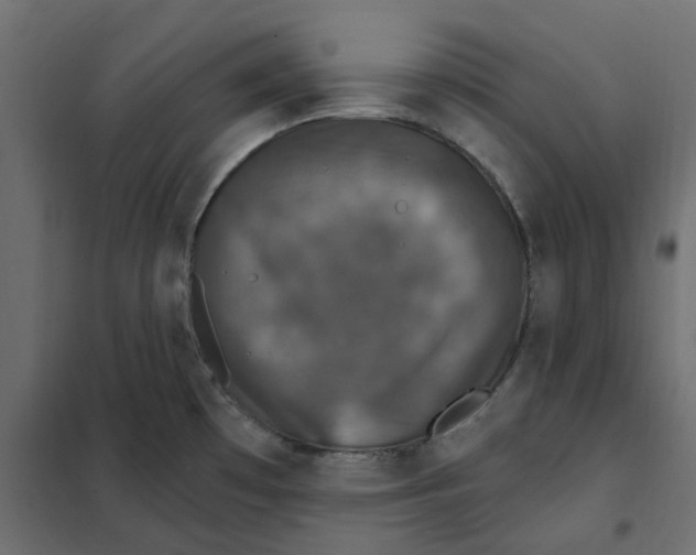 X0000102041481200808081823