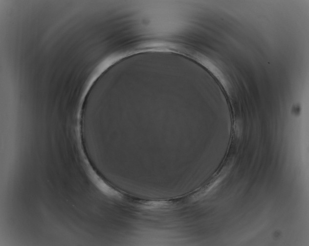 X0000102041482200808081823