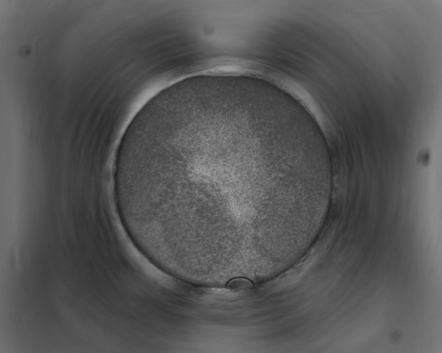 X0000102041483200808081823