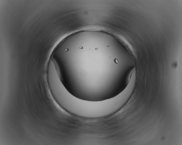 X0000102041484200808081823