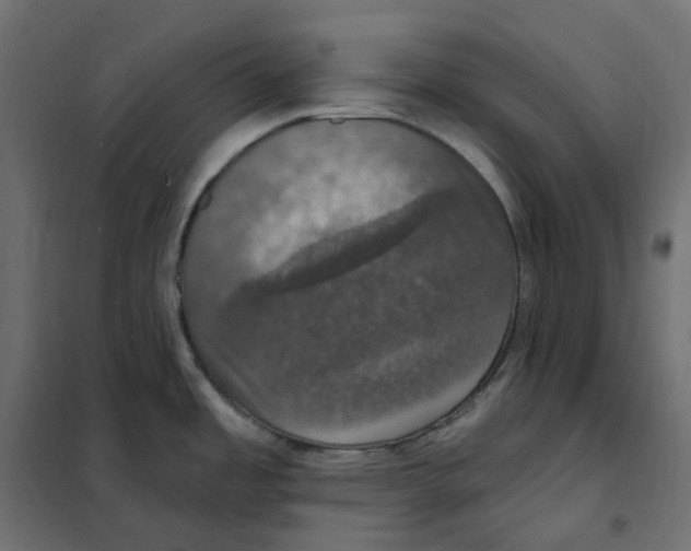 X0000102041485200808081823