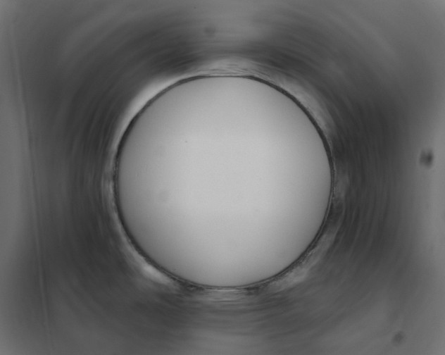 X0000102041486200808081823