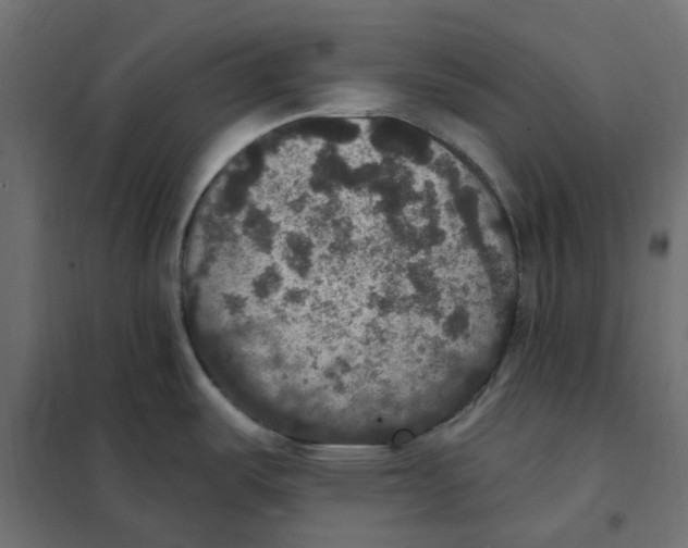 X0000102041487200808081823