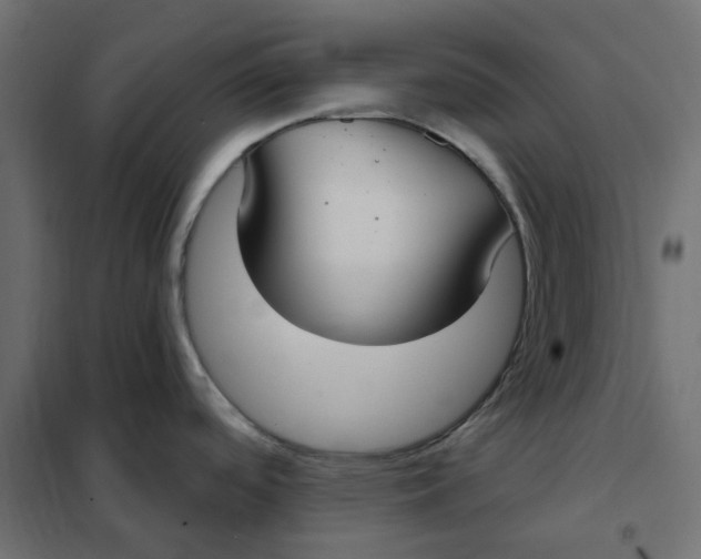 X0000102041488200808081823