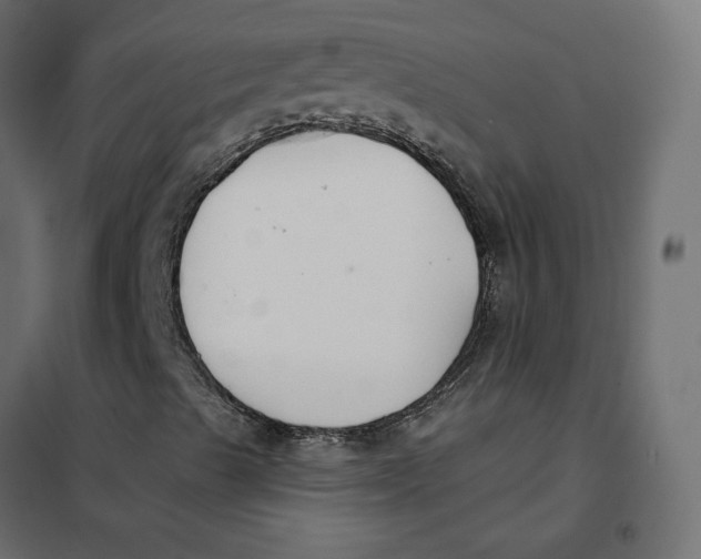 X0000102041489200808081823