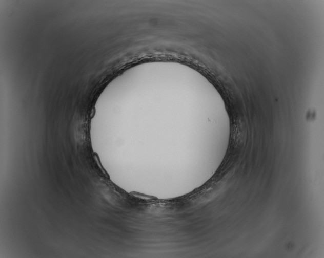 X0000102041490200808081823