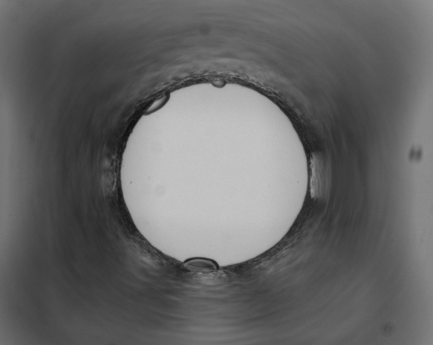 X0000102041491200808081823