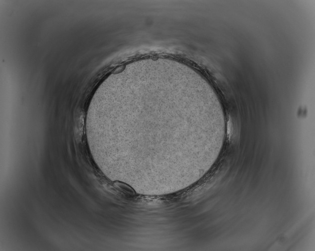 X0000102041492200808081823