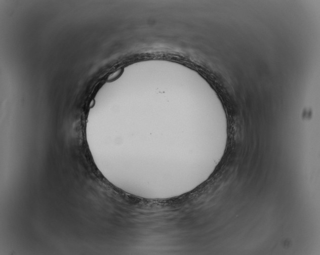 X0000102041493200808081823