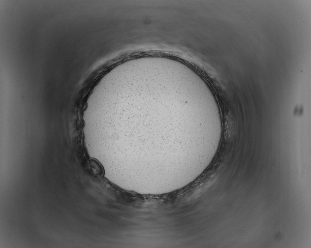 X0000102041494200808081823