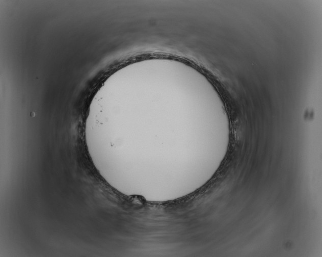 X0000102041495200808081823