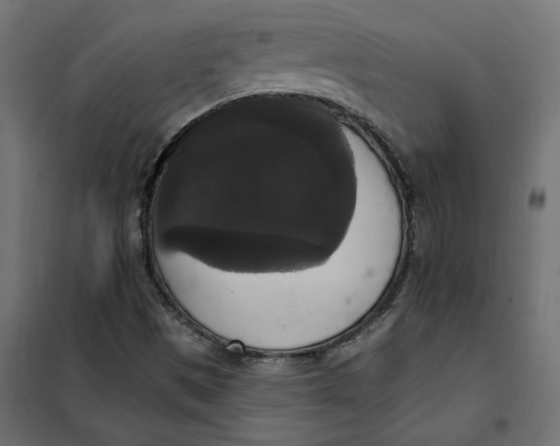 X0000102041497200808081823