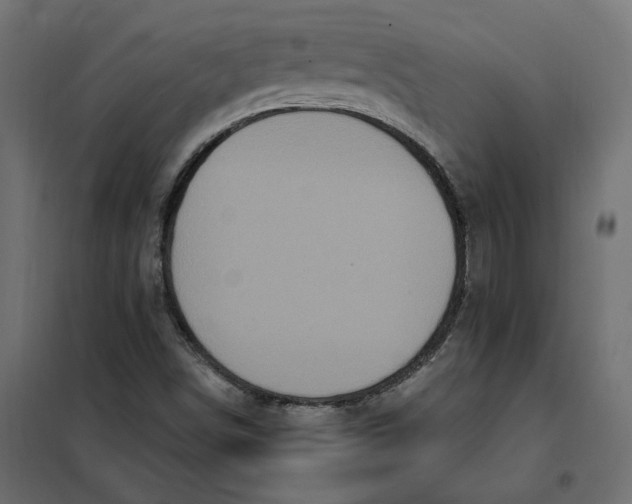 X0000102041498200808081823