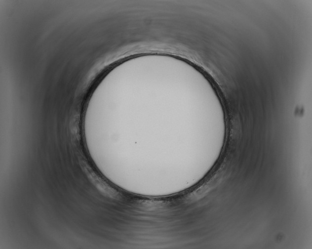 X0000102041499200808081823