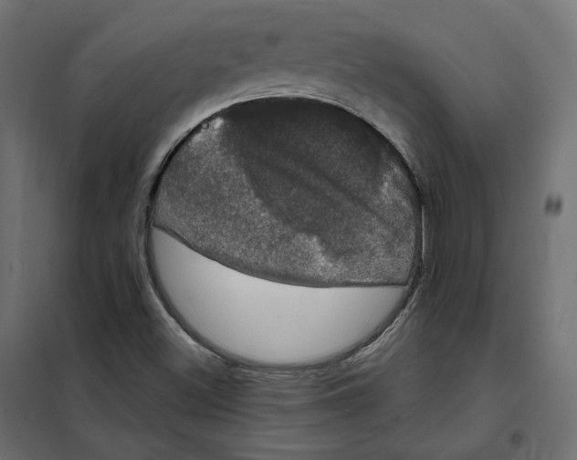 X0000102041500200808081823