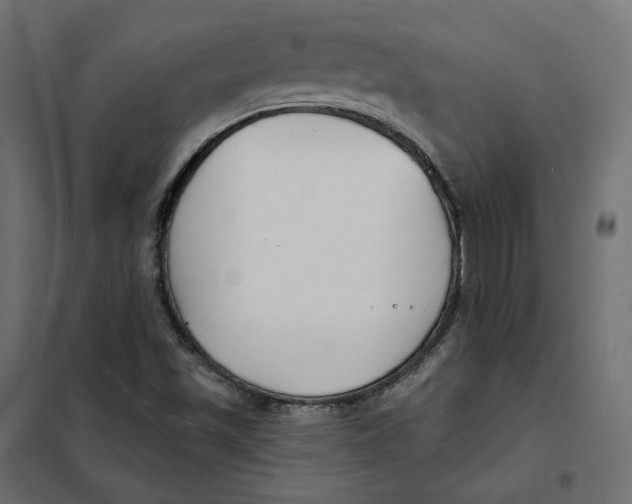 X0000102041501200808081823