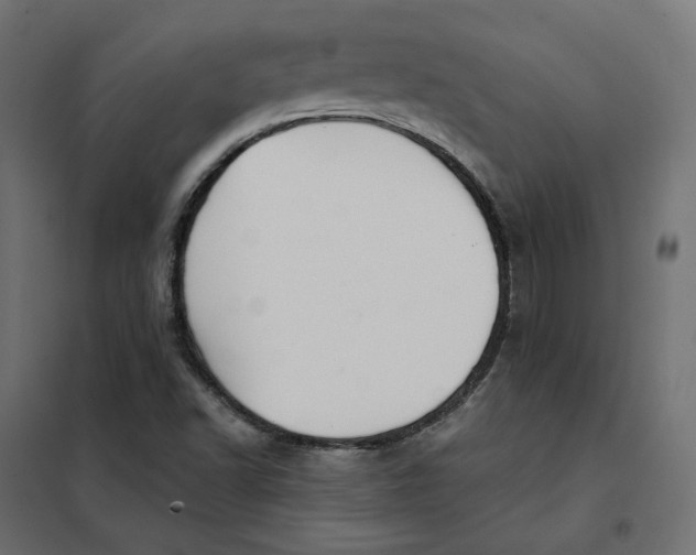 X0000102041502200808081823