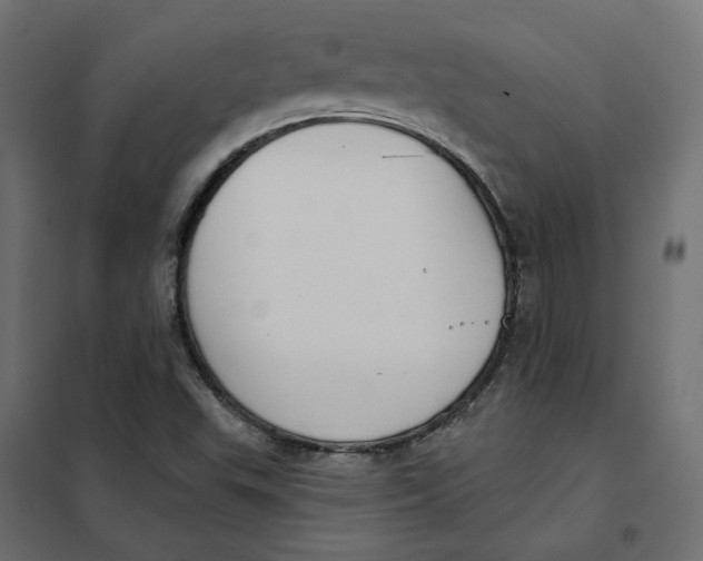 X0000102041503200808081823