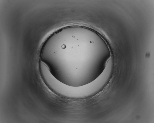 X0000102041504200808081823