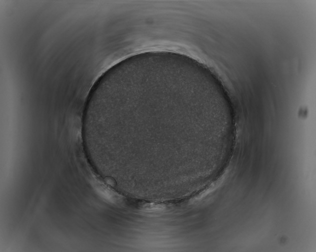 X0000102041505200808081823