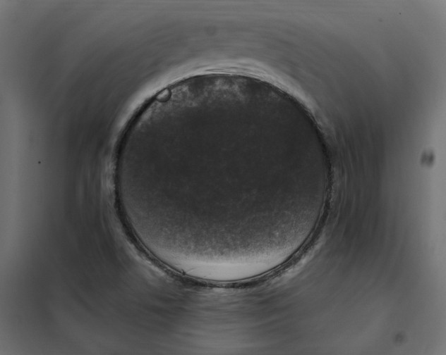 X0000102041506200808081823