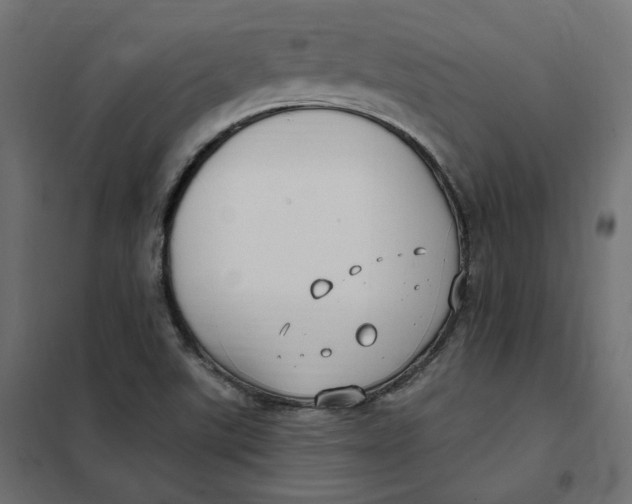 X0000102041507200808081823