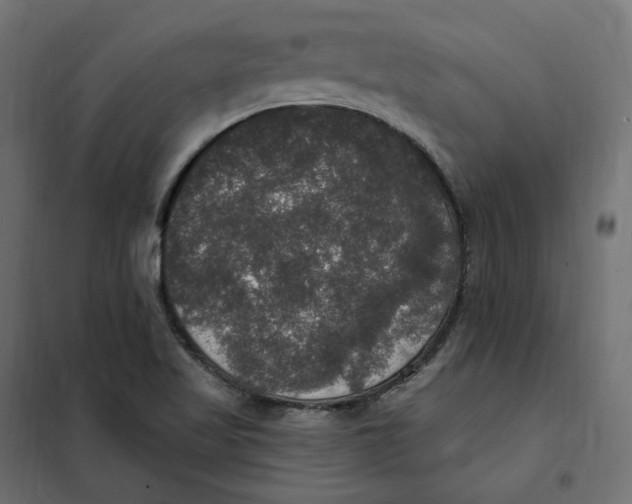 X0000102041509200808081823