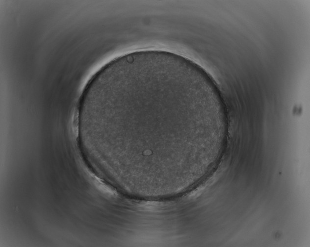 X0000102041510200808081823