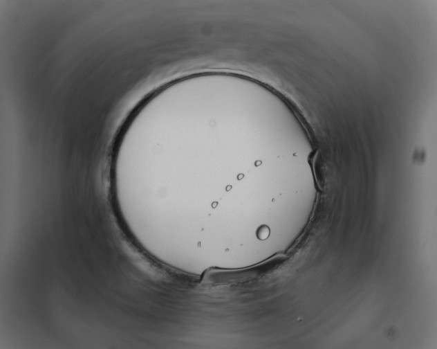 X0000102041511200808081823