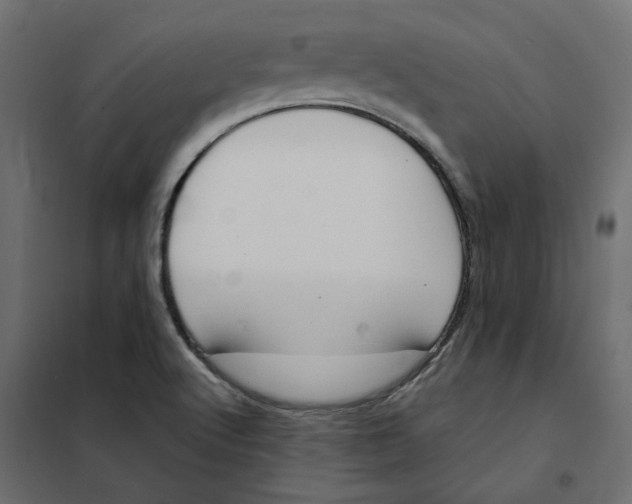 X0000102041512200808081823