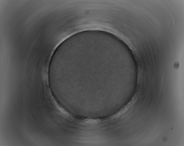 X0000102041513200808081823