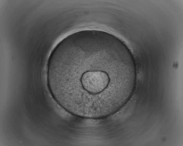 X0000102041514200808081823