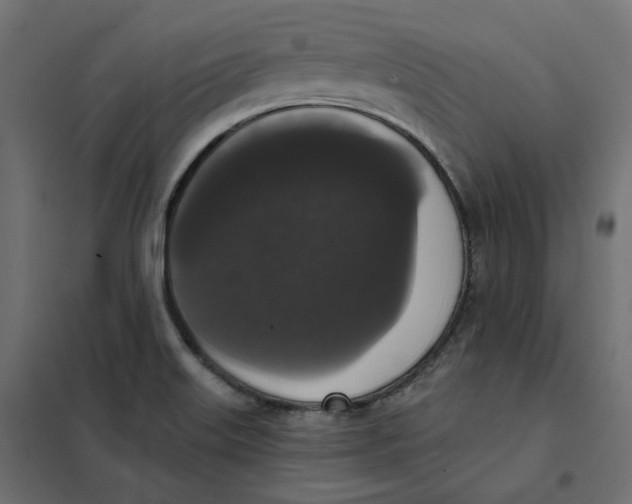 X0000102041515200808081823