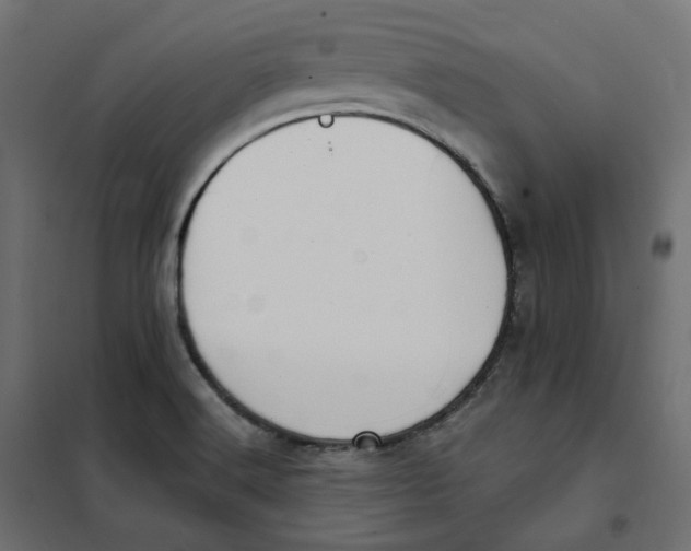 X0000102041516200808081823