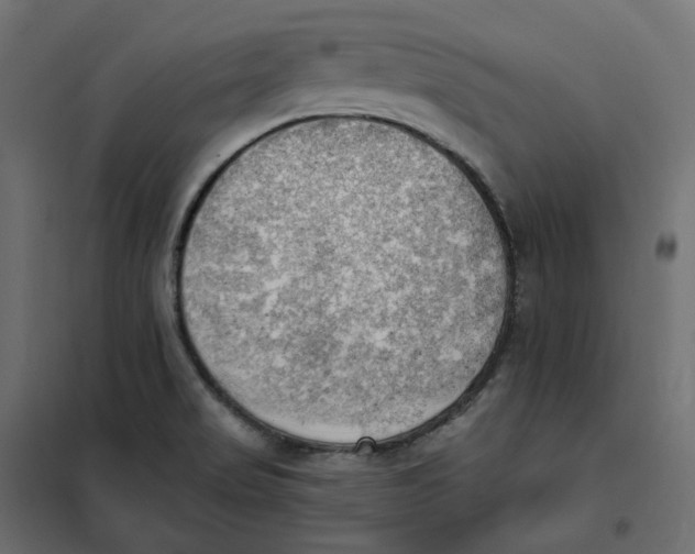 X0000102041517200808081823