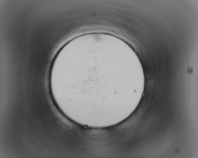 X0000102041518200808081823