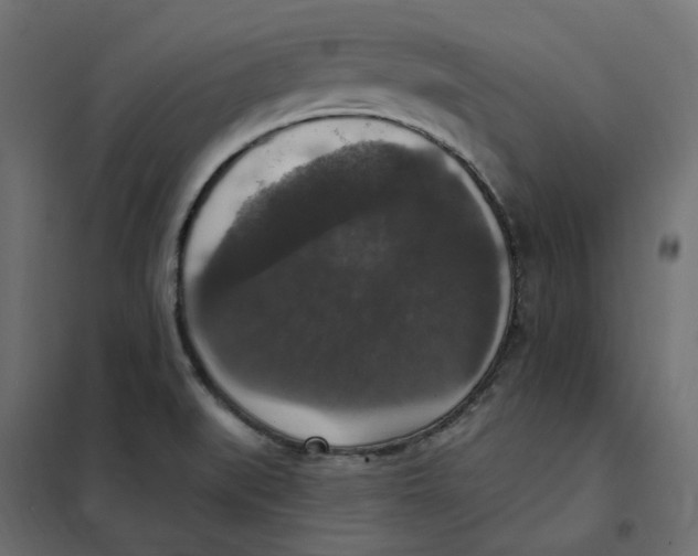 X0000102041519200808081823